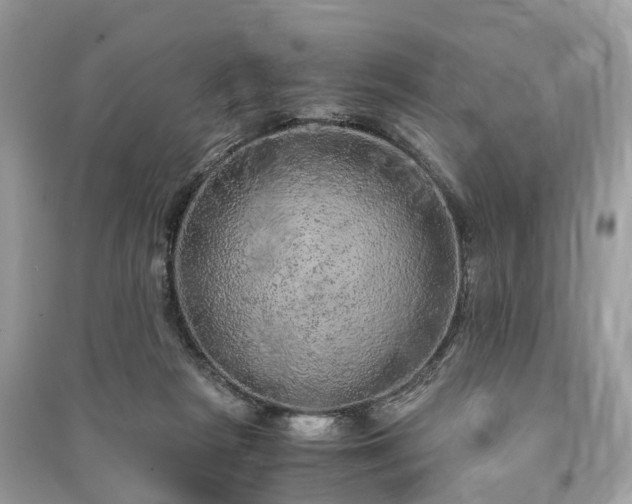 X0000090990265200708091525