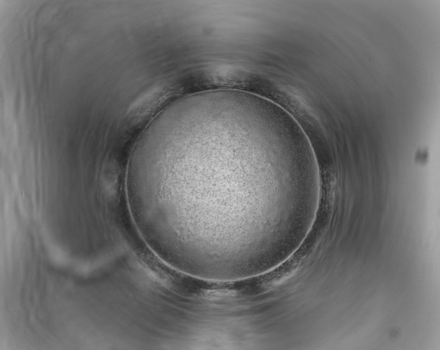 X0000090990266200708091525