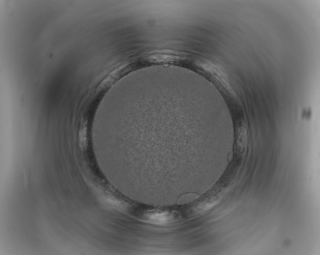 X0000090990267200708091525