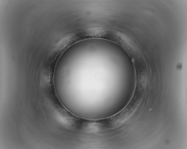 X0000090990268200708091525