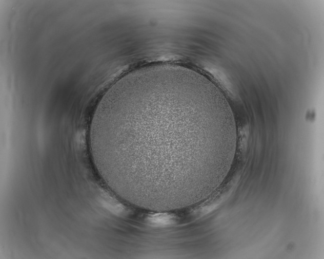 X0000090990269200708091525