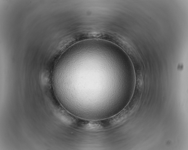 X0000090990270200708091525