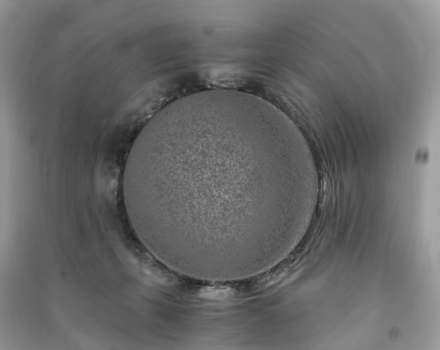 X0000090990271200708091525