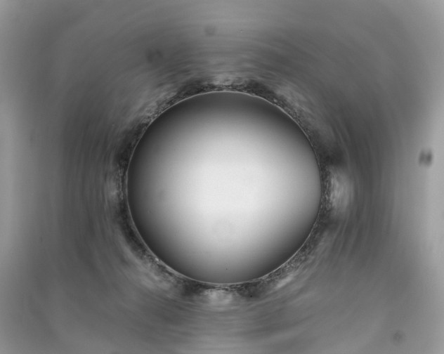 X0000090990272200708091525