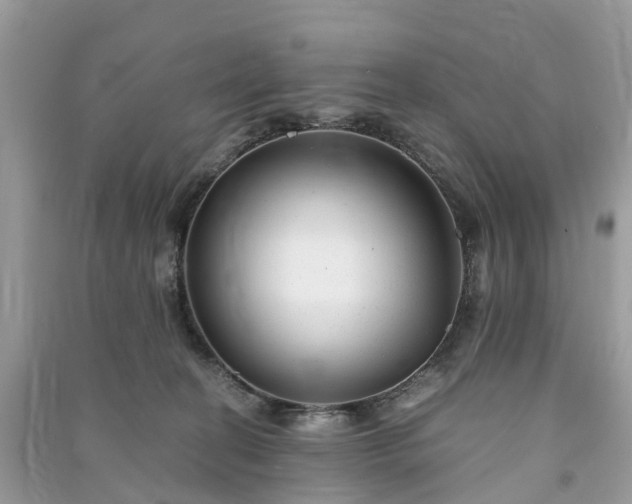 X0000090990274200708091525