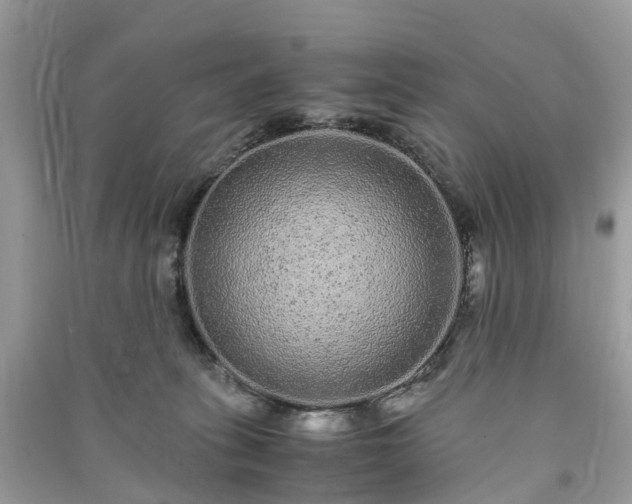 X0000090990275200708091525