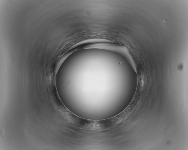 X0000090990276200708091525