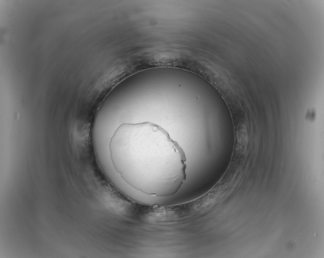 X0000090990278200708091525