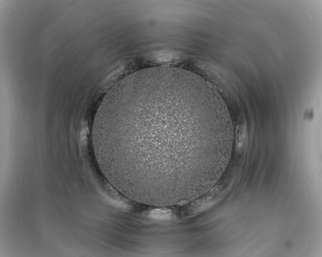 X0000090990279200708091525