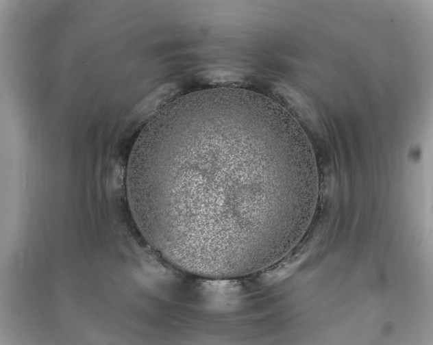 X0000090990281200708091525