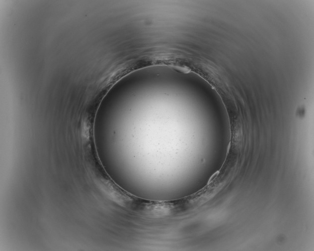 X0000090990282200708091525