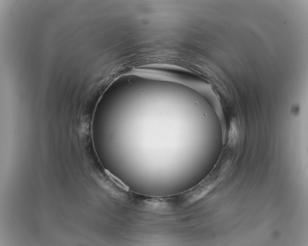 X0000090990284200708091525