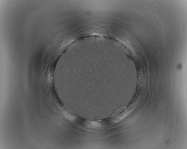 X0000090990285200708091525