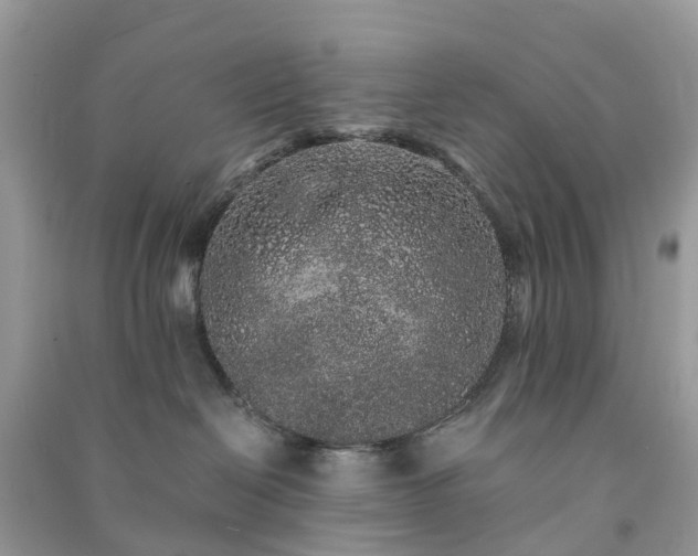 X0000090990286200708091525