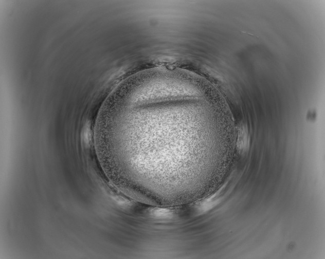 X0000090990287200708091525