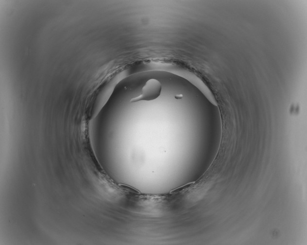 X0000090990288200708091525