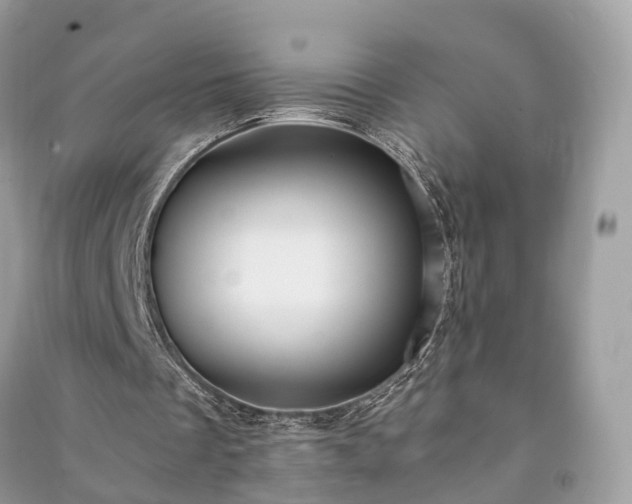 X0000090990289200708091525