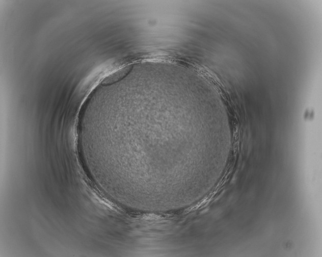 X0000090990290200708091525