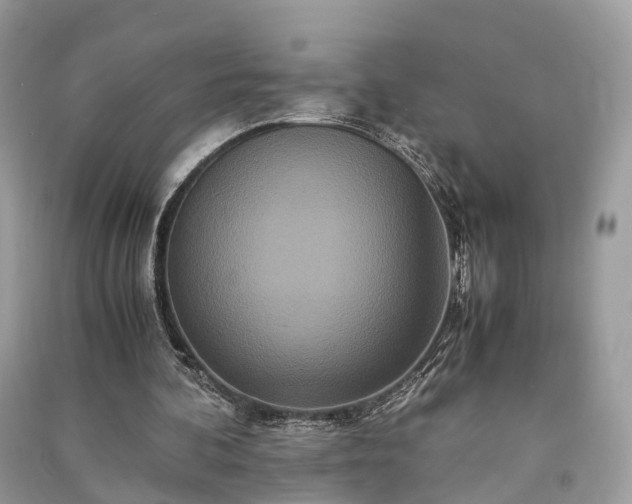 X0000090990292200708091525