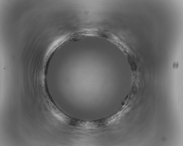 X0000090990293200708091524