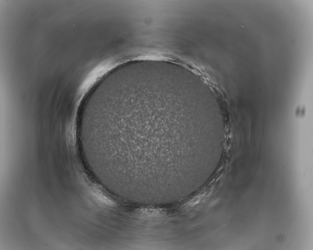 X0000090990296200708091524