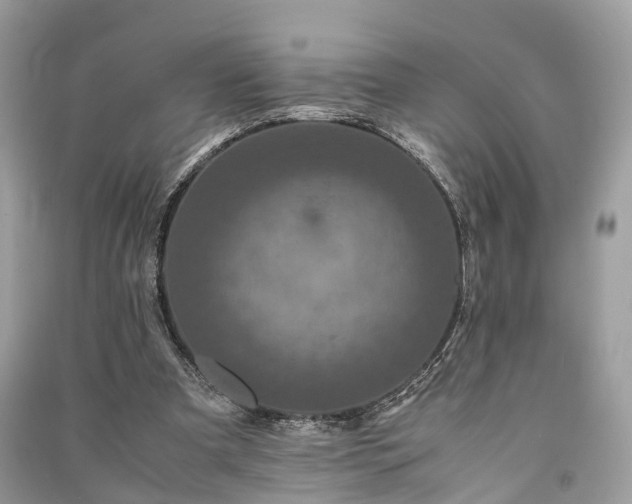 X0000090990297200708091524