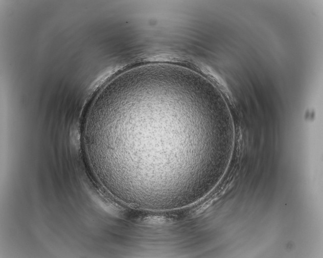 X0000090990298200708091524