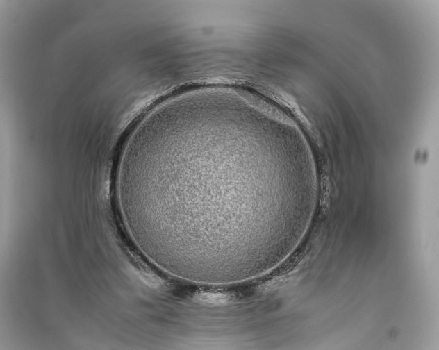 X0000090990299200708091524