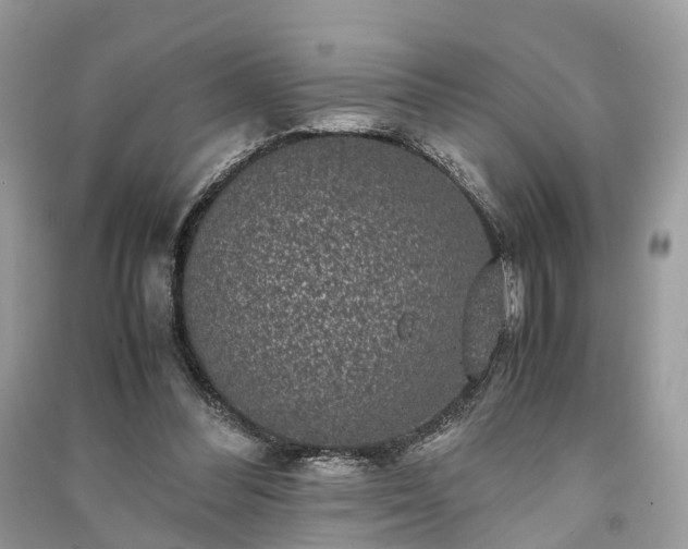 X0000090990300200708091524