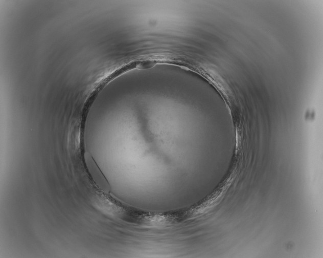 X0000090990301200708091524