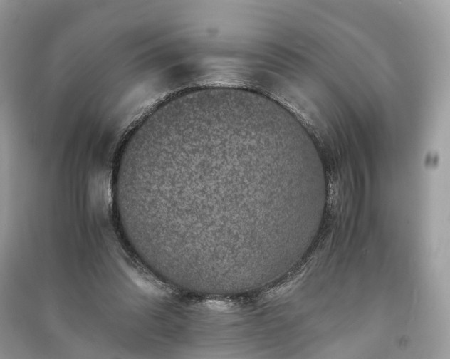 X0000090990302200708091524