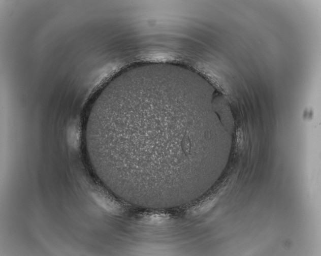 X0000090990304200708091524