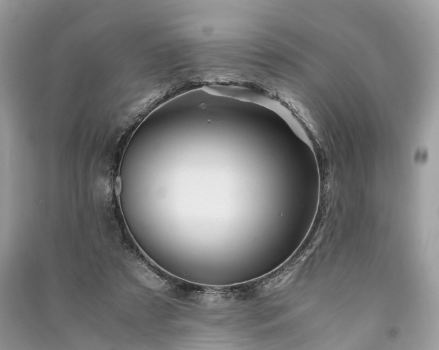 X0000090990305200708091524