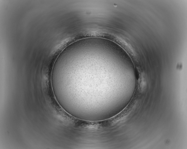 X0000090990306200708091524