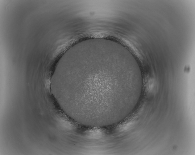 X0000090990307200708091524