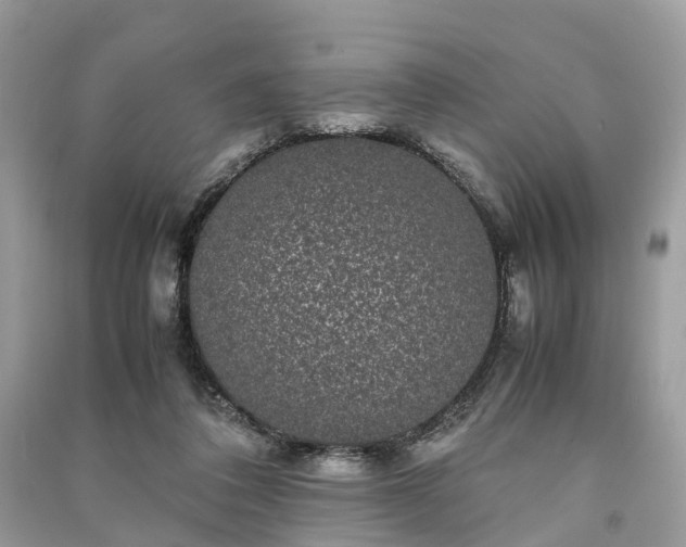 X0000090990308200708091524