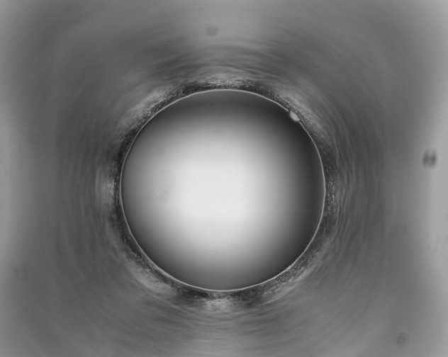 X0000090990309200708091524