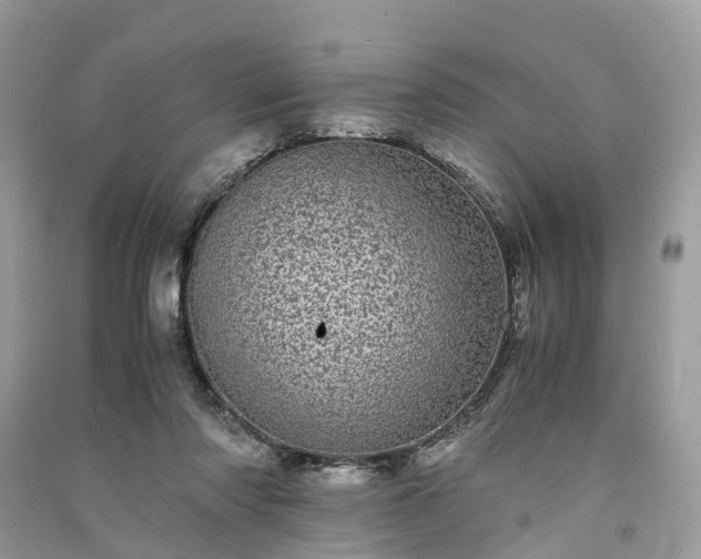 X0000090990310200708091524