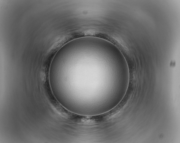 X0000090990311200708091524