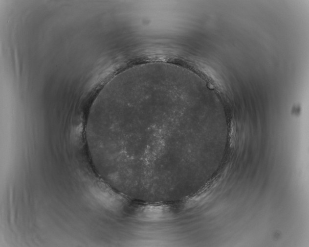 X0000090990314200708091524