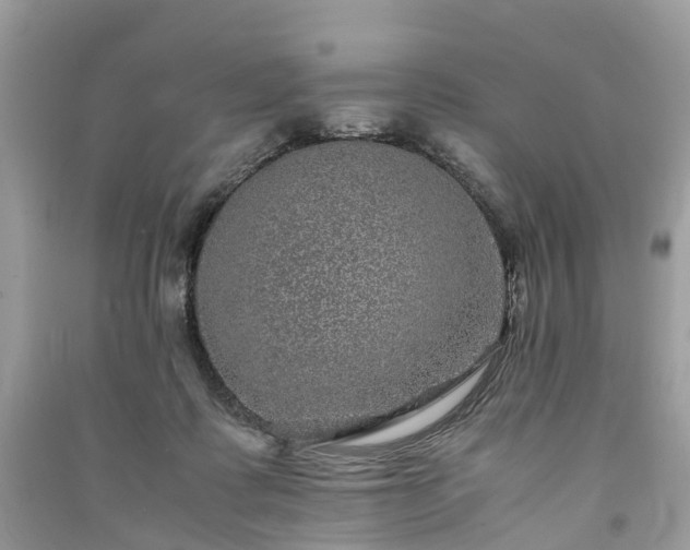 X0000090990315200708091524