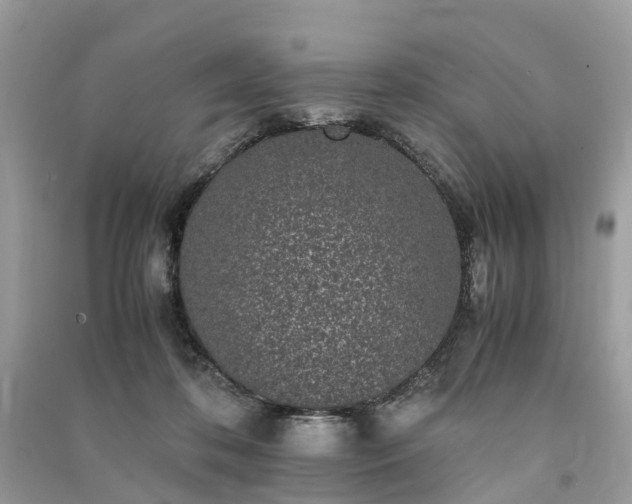 X0000090990316200708091524