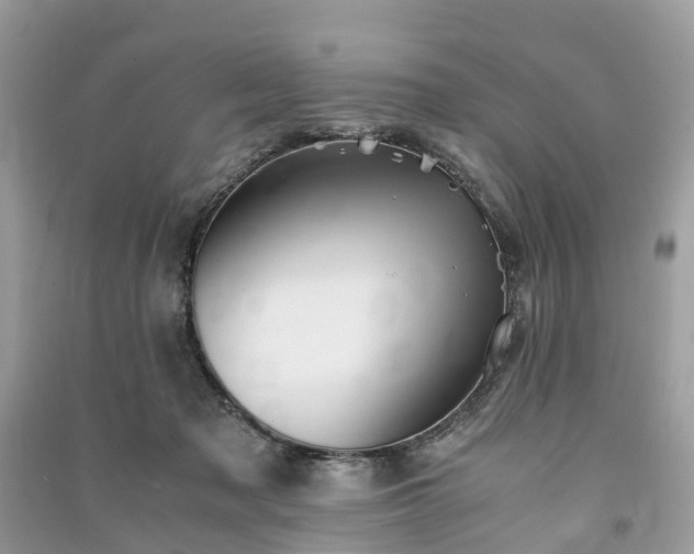 X0000090990317200708091524