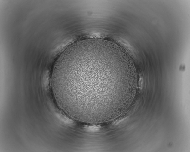 X0000090990318200708091524