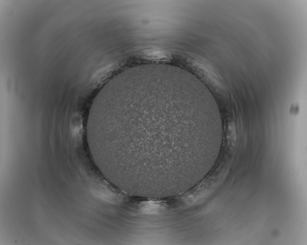 X0000090990320200708091524