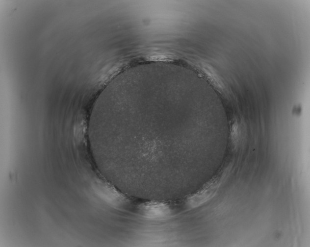 X0000090990322200708091524