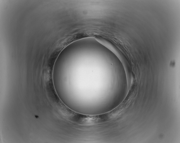 X0000090990323200708091524