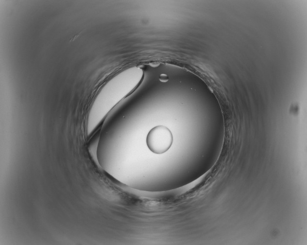 X0000090990325200708091524