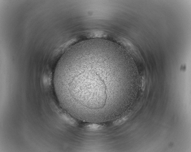 X0000090990326200708091524