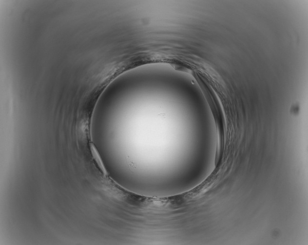 X0000090990329200708091524